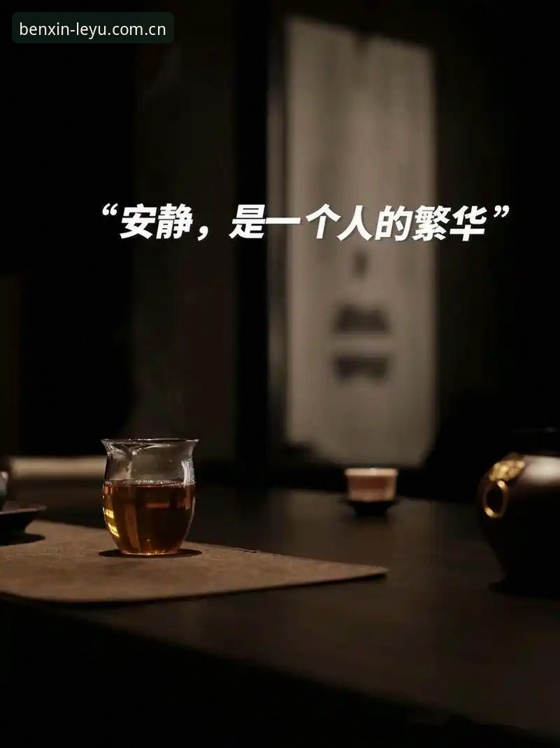 自在本心中国首页使用教程：从零配置到数据追踪的完整路径